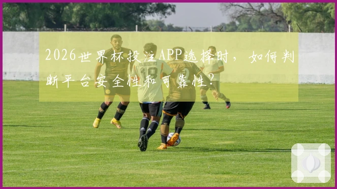 2026世界杯投注APP选择时，如何判断平台安全性和可靠性？