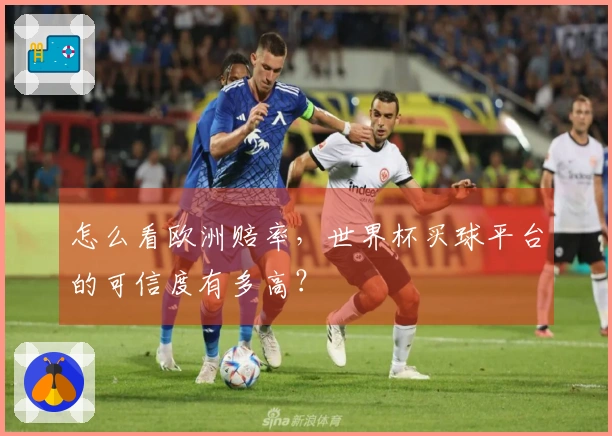 怎么看欧洲赔率，世界杯买球平台的可信度有多高？