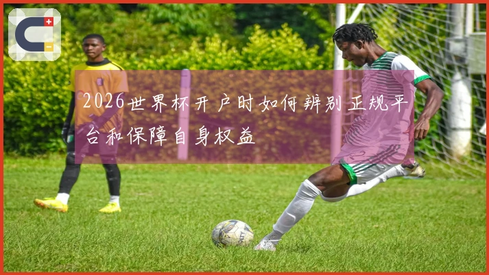 2026世界杯开户时如何辨别正规平台和保障自身权益