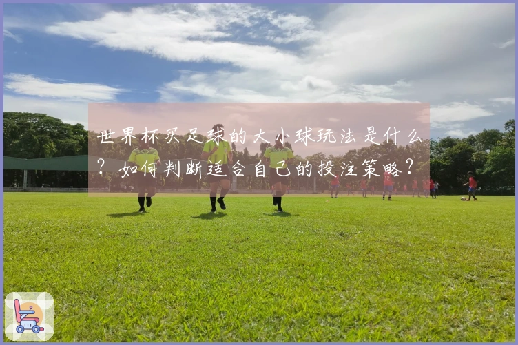 世界杯买足球的大小球玩法是什么？如何判断适合自己的投注策略？