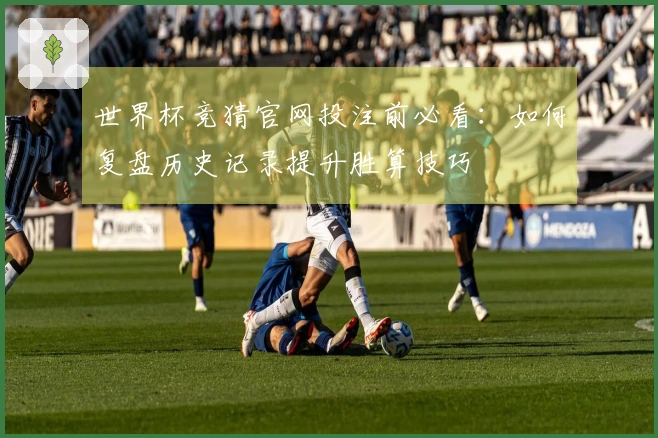 世界杯竞猜官网投注前必看：如何复盘历史记录提升胜算技巧