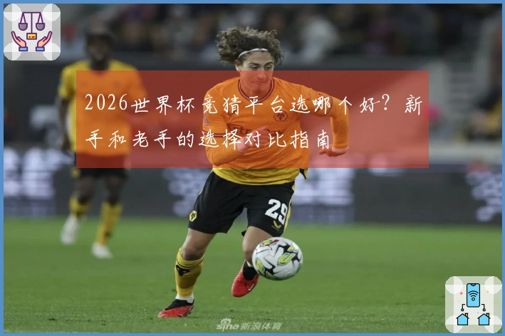 2026世界杯竞猜平台选哪个好？新手和老手的选择对比指南