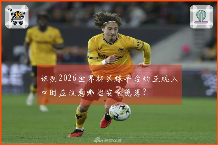识别2026世界杯买球平台的正规入口时应注意哪些安全隐患？