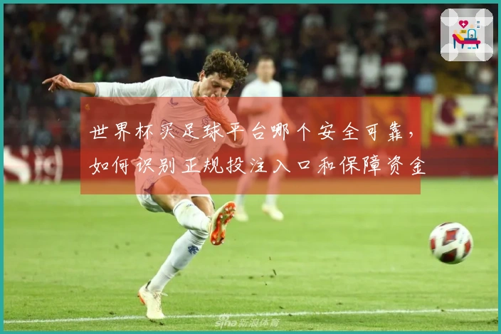 世界杯买足球平台哪个安全可靠，如何识别正规投注入口和保障资金安全吗