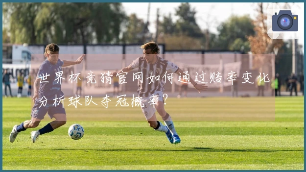 世界杯竞猜官网如何通过赔率变化分析球队夺冠概率？