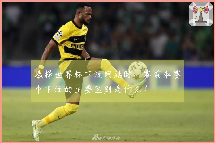 选择世界杯下注网站时，赛前和赛中下注的主要区别是什么？