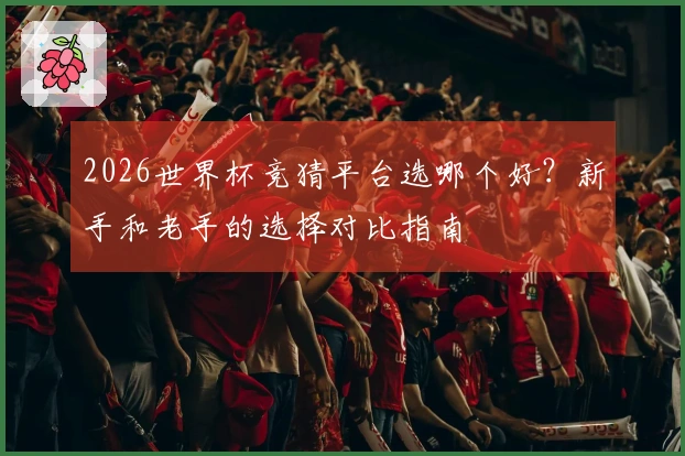 2026世界杯竞猜平台选哪个好？新手和老手的选择对比指南
