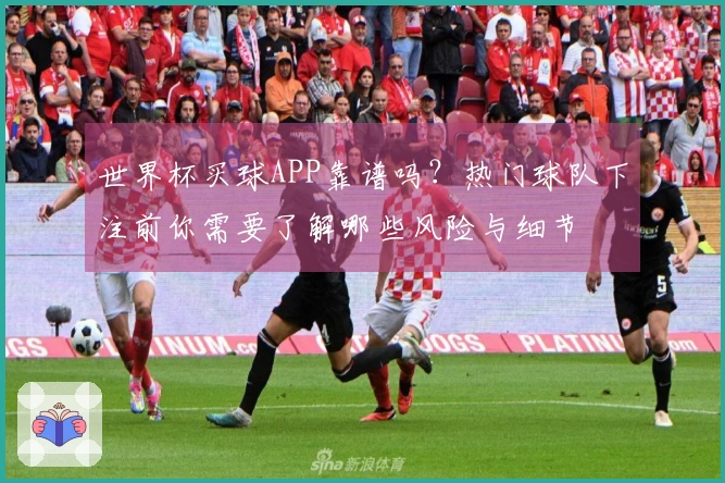 世界杯买球APP靠谱吗？热门球队下注前你需要了解哪些风险与细节