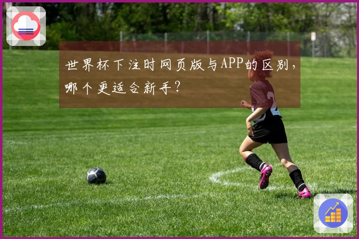 世界杯下注时网页版与APP的区别，哪个更适合新手？