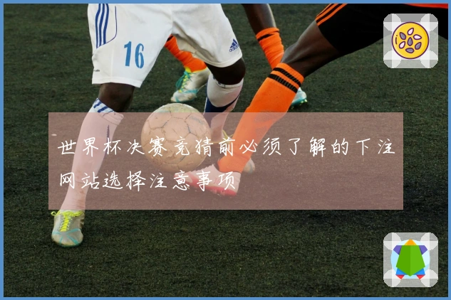 世界杯决赛竞猜前必须了解的下注网站选择注意事项