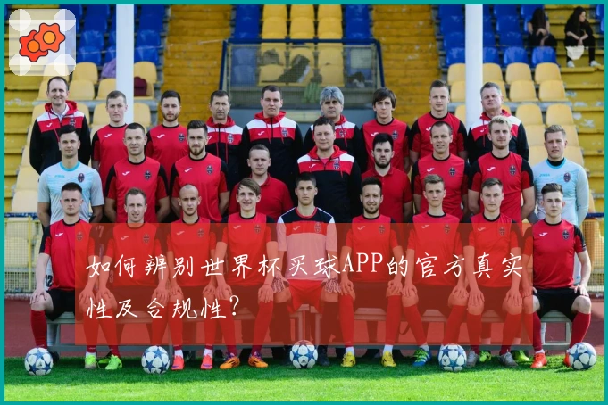 如何辨别世界杯买球APP的官方真实性及合规性？