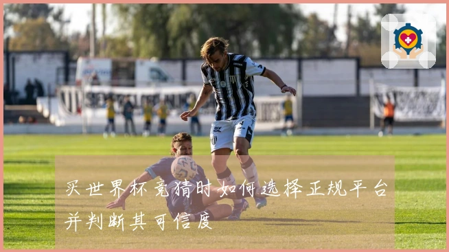 买世界杯竞猜时如何选择正规平台并判断其可信度