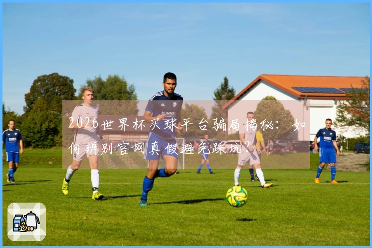 2026世界杯买球平台骗局揭秘：如何辨别官网真假避免踩坑？