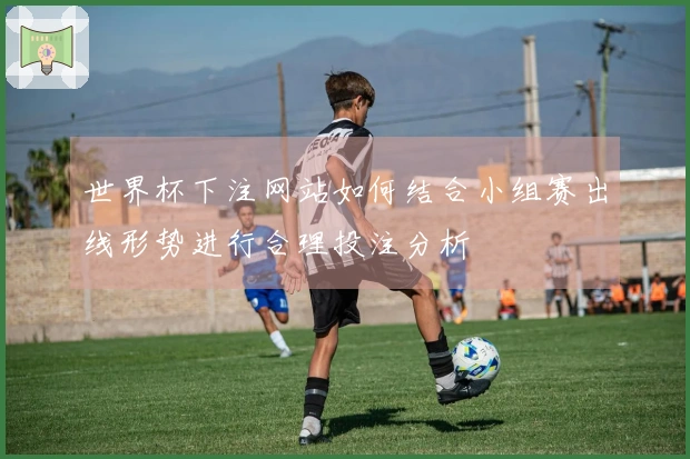 世界杯下注网站如何结合小组赛出线形势进行合理投注分析