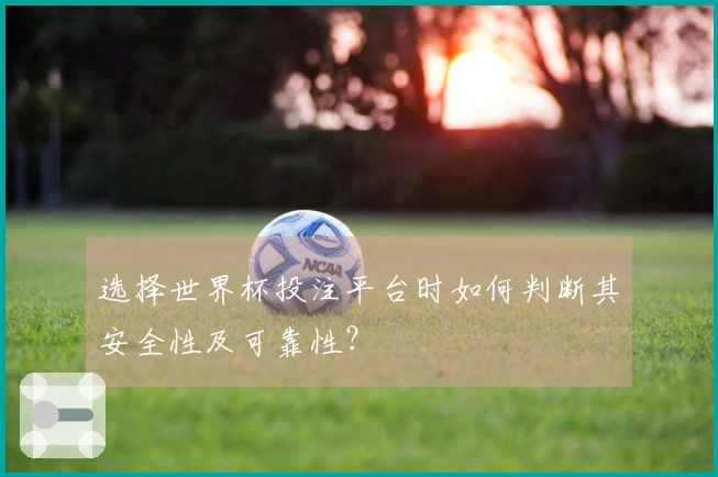 选择世界杯投注平台时如何判断其安全性及可靠性？