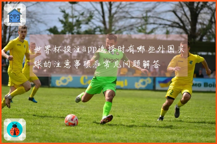 世界杯投注app选择时有哪些外围买球的注意事项和常见问题解答
