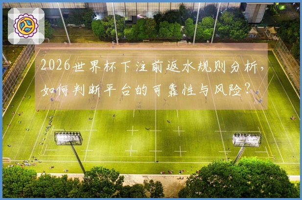 2026世界杯下注前返水规则分析，如何判断平台的可靠性与风险？