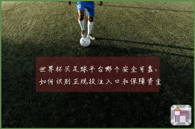 世界杯买足球平台哪个安全可靠，如何识别正规投注入口和保障资金安全吗