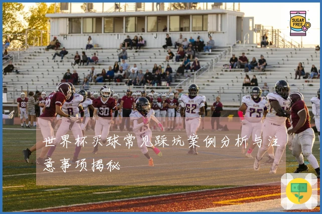 世界杯买球常见踩坑案例分析与注意事项揭秘