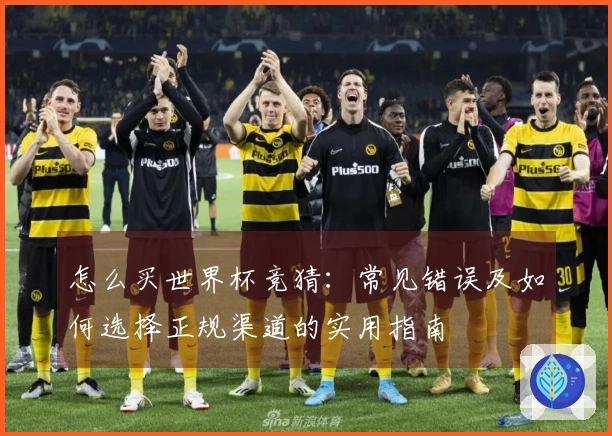 怎么买世界杯竞猜：常见错误及如何选择正规渠道的实用指南