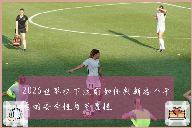 2026世界杯下注前如何判断各个平台的安全性与可靠性