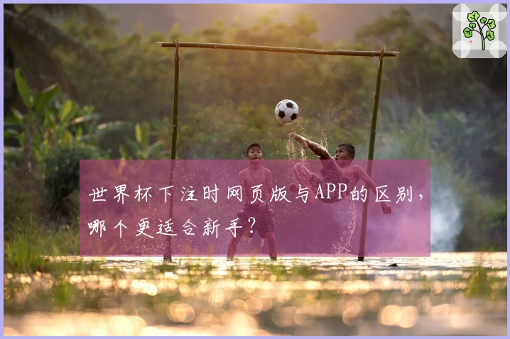 世界杯下注时网页版与APP的区别，哪个更适合新手？